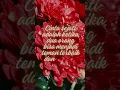 Download Lagu Cinta sejati adalah #hidupbahagia #motivasidirisukses #hidupbermakna #kesuksesandalamhidup