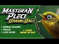 Download Lagu MASTERAN PLECI DAKBAL PALING TOP // NEMBAK KASAR - NEMBAK PANJANG MUKIDI ENDOK TATTO  #masteranpleci