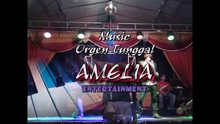 Download AMELIA Music \ MP3