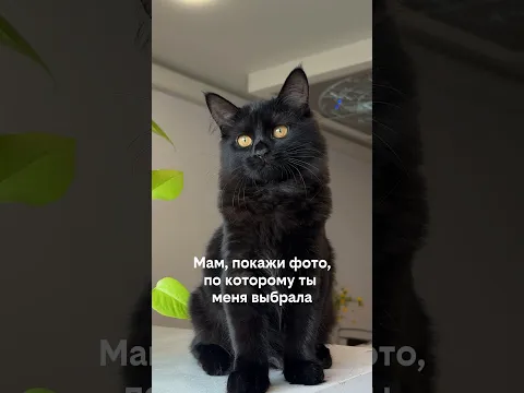 Наша девочка 🫶🏻