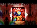 Nervy Funk (Ultra Slowed) - DJ KVNXD, Dj Zidzz, BRTS7, DJ ALGUS ZL