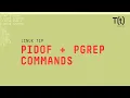 How to use the pidof and pgrep commands 2-Minute Linux Tip