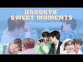 Download Lagu Ketika Tsundere Bertemu Kembang Desa | Harukyu Sweet Moments