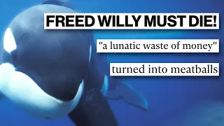 Download What Happened to KEIKO | The Whale from FREE WILLY MP3