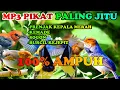 Download Lagu Mp3 suara pikat paling ampuh prenjak kepala merah,sogon,kemade dan burcil ribut terjepit