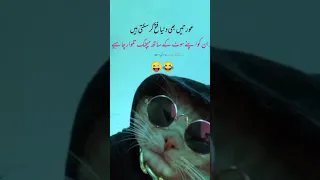 Https Www Youtube Com D8 A7 DA A9 D8 A8 D8 B1 D8 AC D8 A7 D9 86 DB 8C D8 B03 D8 B6 