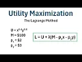 Utility Maximization Using the Lagrange Method