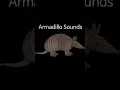Armadillo Sounds Soundboard. Xbox Purchase Sound
