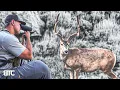 Download Lagu I FOUND A TRUE GIANT | BTC 4K