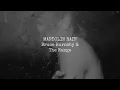 Mandolin Rain | Bruce Hornsby and the Range | Lyrics ☾☀