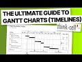 The Ultimate Guide to Gantt Charts Timelines in Think Cell