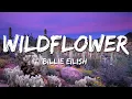 Billie Eilish - WILDFLOWER (Lyrics)