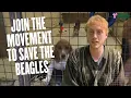 Lagu 20 People On Trial For Rescuing Puppies | Join the movement to Save the Beagles