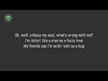 Elvis Presley - All Shook Up (Lyrics)
