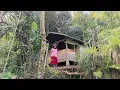 Download Lagu Kaget.. Jumpa Pasutri Pemberani Nekad Tinggal Di Gubuk Kecil Tengah Hutan Angker Tanpa Listrik