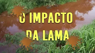 Rio Paraopeba após rompimento da barragem em Brumadinho - Análise dos laudos
