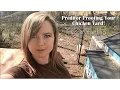 Poultry Netting Predator Proofing Your Chicken Yard