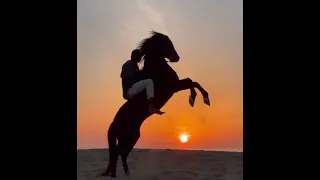                                      كبروا الله اكبر لاتهابوا الحاقدين دندنها