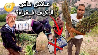 علاش ناس الكيف فقراء  شكون لي كيستافد من هد العشبة  عالم الكيف  دندنها
