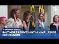 Baltimore revives anti-animal abuse commission after years of inactivity
