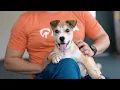 The Rescue Effect