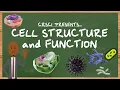 Cell Structure Function and YOU