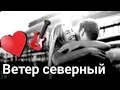 Download Lagu 🔴🎧 Ветер северный 🎸💝👒 Эту нежную песню обожали все 🎙️🪗❤️