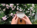 我在那一角落患过伤风 kalimba cover