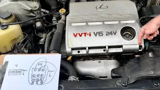Lexus ES300 Cylinder Numbers