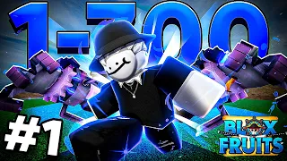 1 AL 700 CON MAGNET ESTA FRUTA ESTA ROTISIMA BLOX FRUITS #1