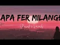 Apa Fer Milange [ Lo-Fi Song ] slowed and reverb | Savi Kahlon