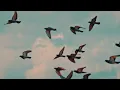 Klur - After The Rain (Full Album - Mixed)