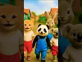 Lagu Panda usagi koala 🐼🐰🐨 #shorts #pandausagikoala #catshorts