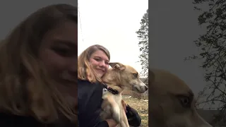 My Snap Chat Is Https T Snapchat Com ZYRoCRGj 