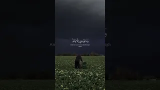 من أروع ما قرأ الشيخ علي جابر رحمه الله دندنها