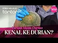 Download Lagu [CLIP] WHI (1 Jul 2025): Variasi Menu Durian - Kenal Ke Durian? | Tonton