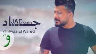                                  جاد خليفة   يا بياع الورد دندنها