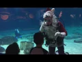 Adventure Aquarium