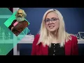 Karl Marx & Conflict Theory: Crash Course Sociology #6