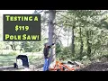 Ryobi 40 volt pole saw with 8 inch bar - First impression and review