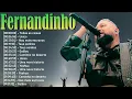 Download Lagu 🌈 Fernandinho - Hinos que proclamam liberdade pela cruz de Jesus 🌈