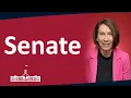 Senate 2026