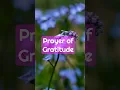 Download Lagu Prayer Of Gratitude - Thank You Lord - A Prayer Of Gratitude To Thank God #gratitude #godsword