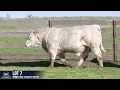 LOT 7 MINNIE VALE VELOCITY V5E P