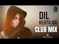 Lagu DIL KEHTA HAI | CLUB MIX DJ | AMIR KHAN | MANISHA | RITURAJ | 2026