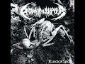 Blackwind - Drown in Sulphur