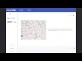 Quizlet Cells