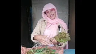 أمينة أجمل وأشهر بائعة قات في العاصمة الإثيوبية أديس أبابا 