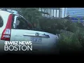 Springfield Massachusetts cleaning up from damage potentially caused by microburst