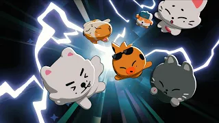 [ENCHIN] WHERE IS ENCHIN GOOOOOOING?!
